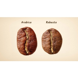 Araabika VS robusta kohvioad