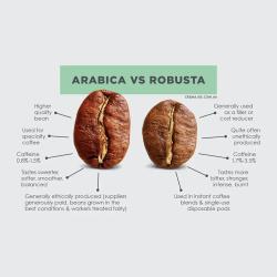 Arabica vs. Robusta kohvioad